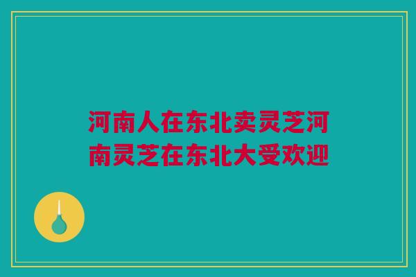 河南人在东北卖灵芝河南灵芝在东北大受欢迎