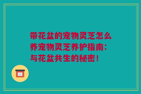 带花盆的宠物灵芝怎么养宠物灵芝养护指南：与花盆共生的秘密！
