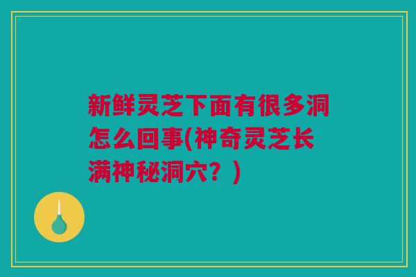 新鲜灵芝下面有很多洞怎么回事(神奇灵芝长满神秘洞穴？)