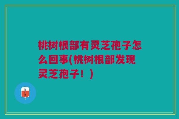 桃树根部有灵芝孢子怎么回事(桃树根部发现灵芝孢子！)