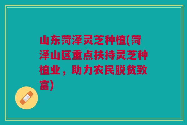 山东菏泽灵芝种植(菏泽山区重点扶持灵芝种植业，助力农民脱贫致富)