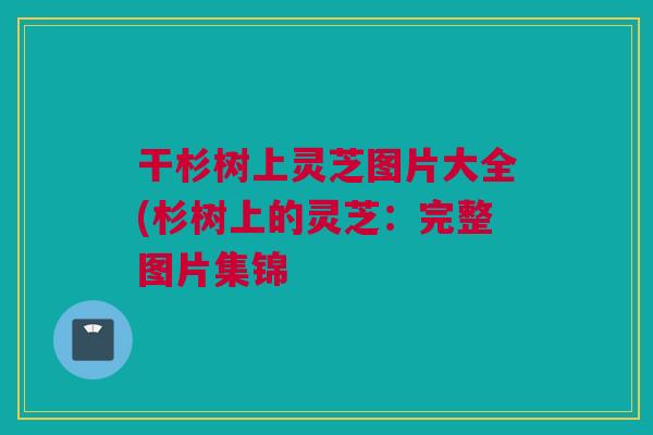 干杉树上灵芝图片大全(杉树上的灵芝：完整图片集锦