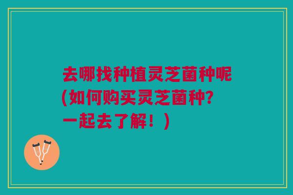 去哪找种植灵芝菌种呢(如何购买灵芝菌种？一起去了解！)