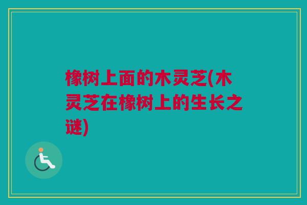 橡树上面的木灵芝(木灵芝在橡树上的生长之谜) 橡树上面的木灵芝(木灵芝在橡树上的生长之谜)