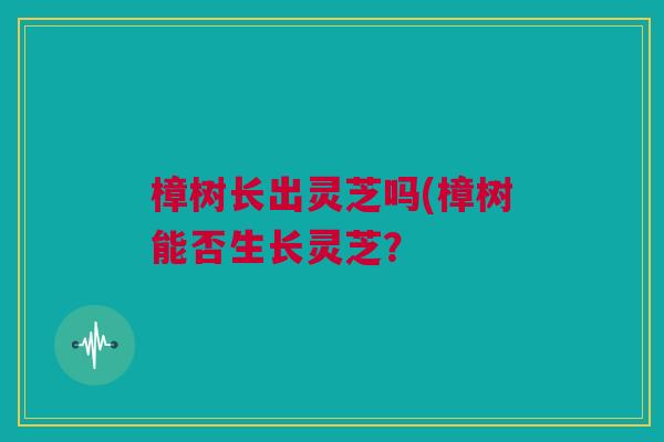 樟树长出灵芝吗(樟树能否生长灵芝？