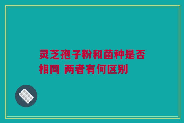灵芝孢子粉和菌种是否相同 两者有何区别