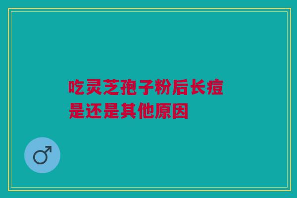吃灵芝孢子粉后长痘 是还是其他原因