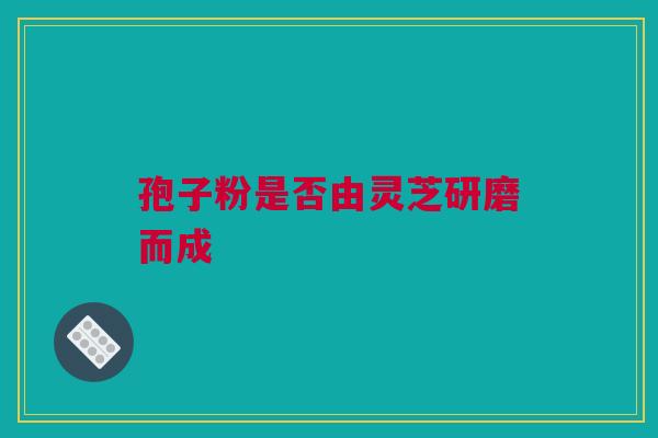 孢子粉是否由灵芝研磨而成