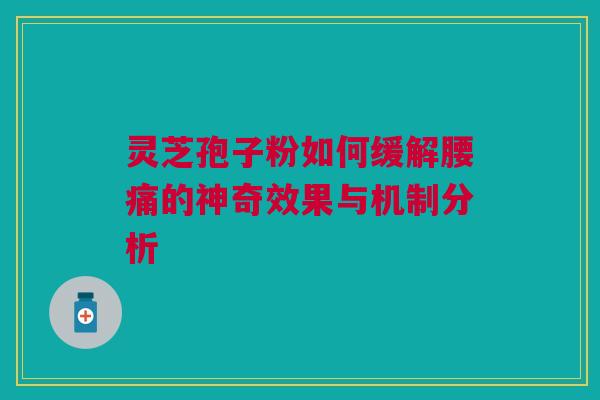 灵芝孢子粉如何缓解腰痛的神奇效果与机制分析