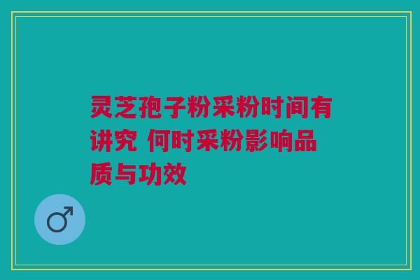 灵芝孢子粉采粉时间有讲究 何时采粉影响品质与功效