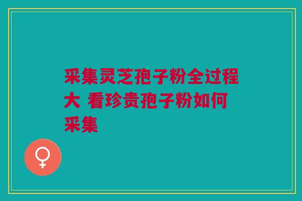 采集灵芝孢子粉全过程大 看珍贵孢子粉如何采集