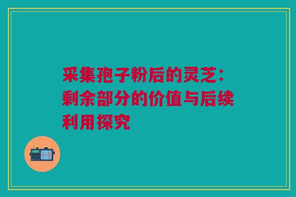 采集孢子粉后的灵芝：剩余部分的价值与后续利用探究