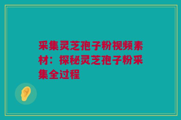 采集灵芝孢子粉视频素材：探秘灵芝孢子粉采集全过程
