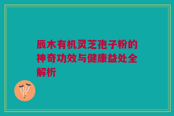 辰木有机灵芝孢子粉的神奇功效与健康益处全解析