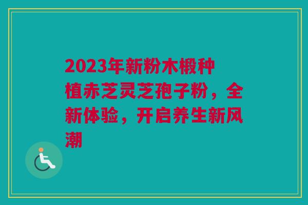 2023年新粉木椴种植赤芝灵芝孢子粉，全新体验，开启养生新风潮