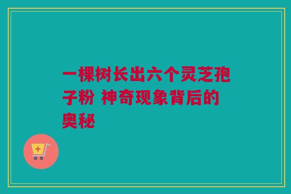 一棵树长出六个灵芝孢子粉 神奇现象背后的奥秘