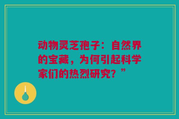 动物灵芝孢子：自然界的宝藏，为何引起科学家们的热烈研究？”
