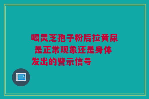 喝灵芝孢子粉后拉黄尿 是正常现象还是身体发出的警示信号