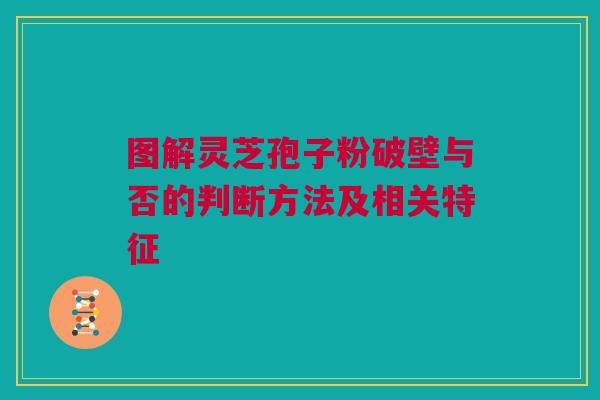 图解灵芝孢子粉破壁与否的判断方法及相关特征