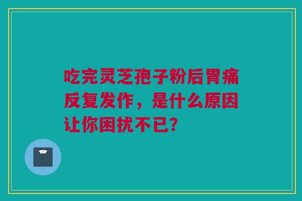 吃完灵芝孢子粉后胃痛反复发作，是什么原因让你困扰不已？