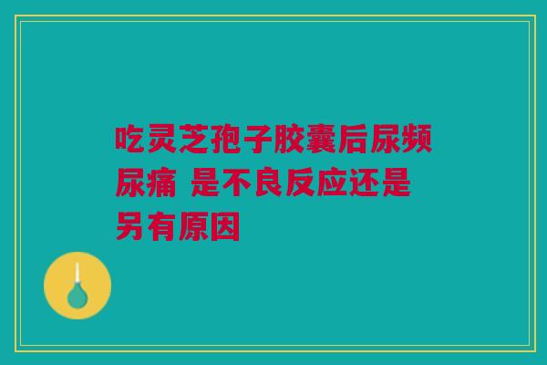 吃灵芝孢子胶囊后尿频尿痛 是不良反应还是另有原因