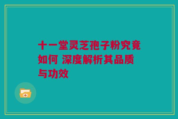 十一堂灵芝孢子粉究竟如何 深度解析其品质与功效