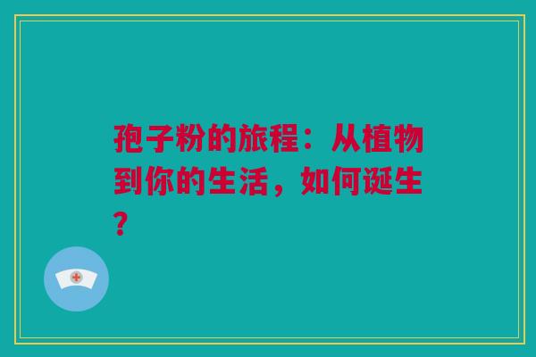 孢子粉的旅程：从植物到你的生活，如何诞生？