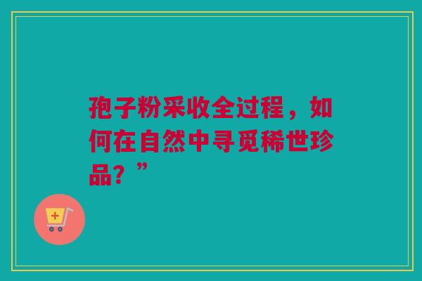 孢子粉采收全过程，如何在自然中寻觅稀世珍品？”