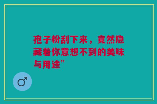 孢子粉刮下来，竟然隐藏着你意想不到的美味与用途”