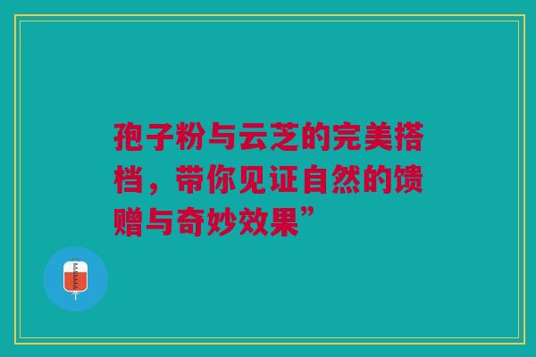 孢子粉与云芝的完美搭档，带你见证自然的馈赠与奇妙效果”