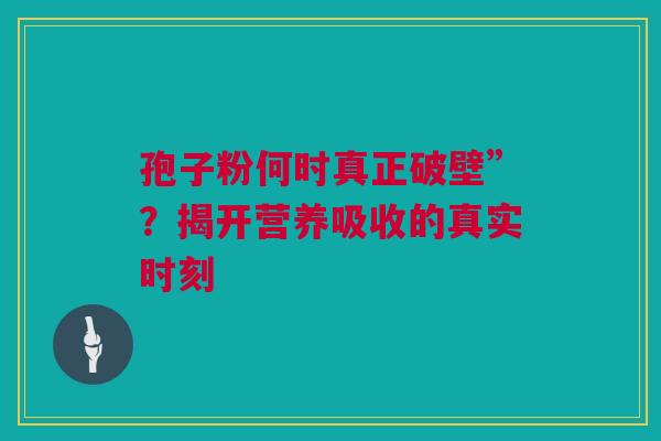 孢子粉何时真正破壁”？揭开营养吸收的真实时刻