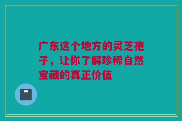 广东这个地方的灵芝孢子，让你了解珍稀自然宝藏的真正价值