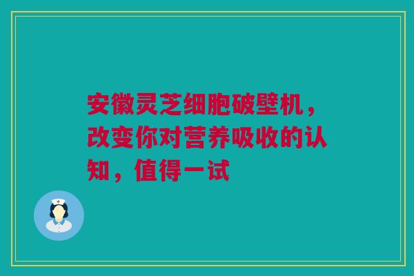 安徽灵芝细胞破壁机，改变你对营养吸收的认知，值得一试