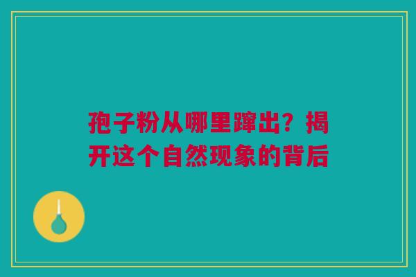 孢子粉从哪里蹿出？揭开这个自然现象的背后