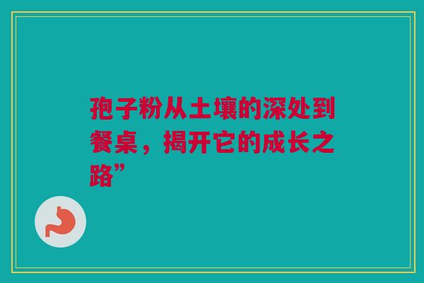 孢子粉从土壤的深处到餐桌，揭开它的成长之路”
