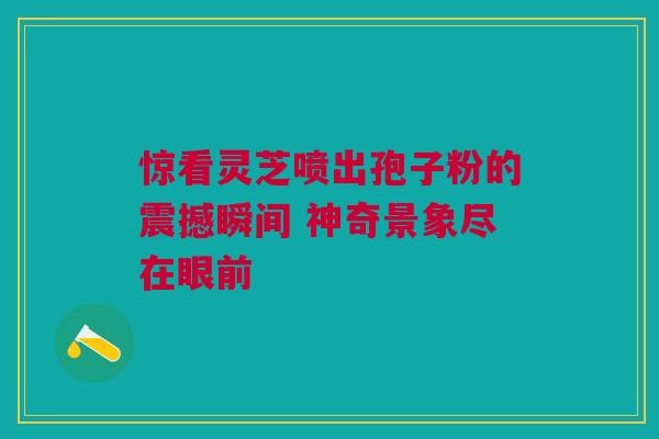 惊看灵芝喷出孢子粉的震撼瞬间 神奇景象尽在眼前