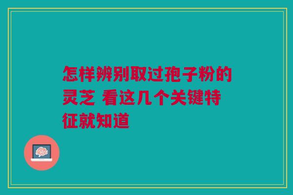 怎样辨别取过孢子粉的灵芝 看这几个关键特征就知道