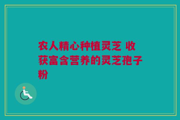 农人精心种植灵芝 收获富含营养的灵芝孢子粉