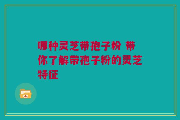 哪种灵芝带孢子粉 带你了解带孢子粉的灵芝特征
