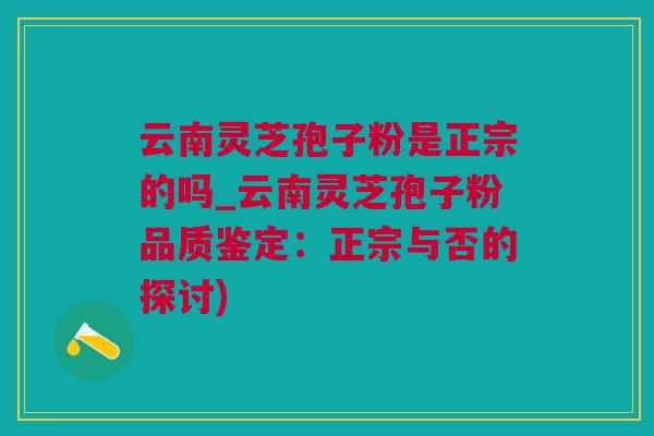 云南灵芝孢子粉是正宗的吗_云南灵芝孢子粉品质鉴定：正宗与否的探讨)