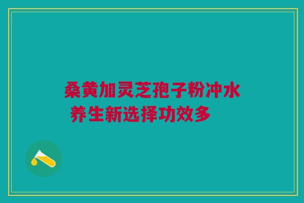 桑黄加灵芝孢子粉冲水 养生新选择功效多