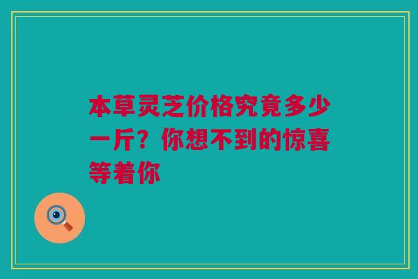 本草灵芝价格究竟多少一斤？你想不到的惊喜等着你