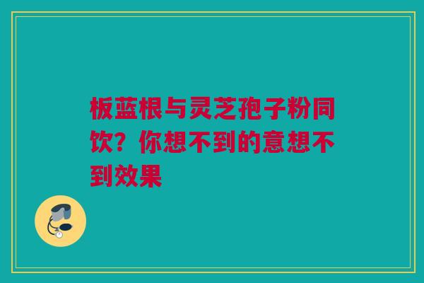 板蓝根与灵芝孢子粉同饮？你想不到的意想不到效果