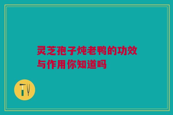 灵芝孢子炖老鸭的功效与作用你知道吗
