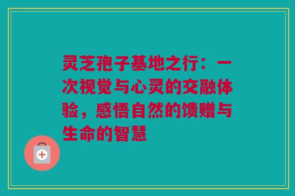 灵芝孢子基地之行：一次视觉与心灵的交融体验，感悟自然的馈赠与生命的智慧