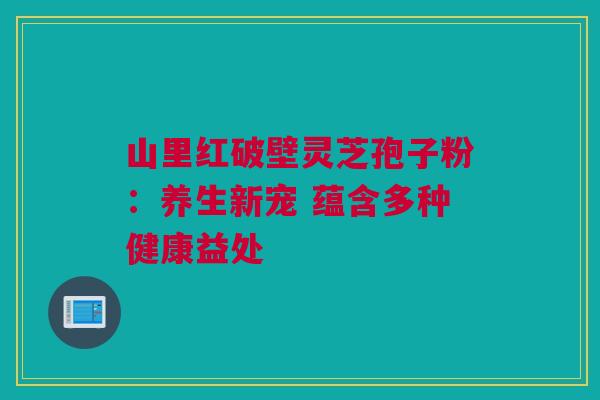 山里红破壁灵芝孢子粉：养生新宠 蕴含多种健康益处